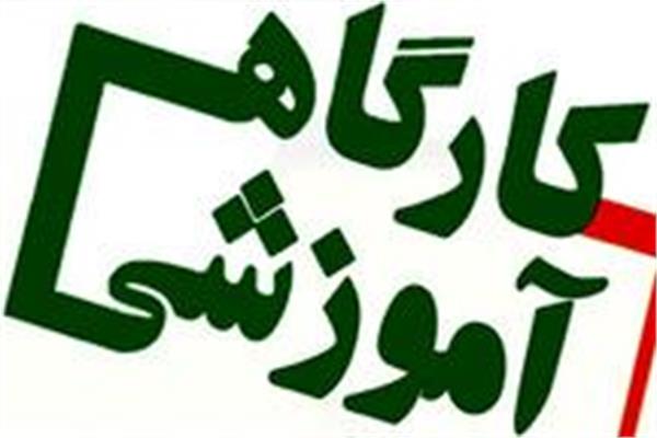 کارگاه پایگاه‌های استنادی Web of science  و scopus برگزار می‌شود.